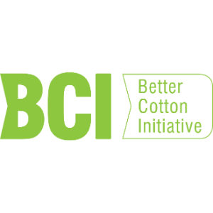 BCI-logo-large-1